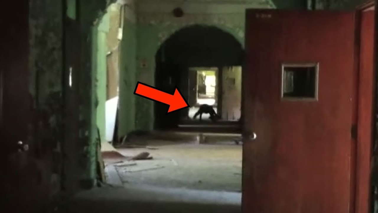 Terrifying Videos I Almost CAN'T Show You