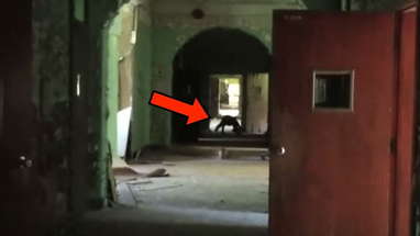 Terrifying Videos I Almost CAN'T Show You poster