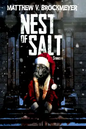 Nest of Salt: Stories poster