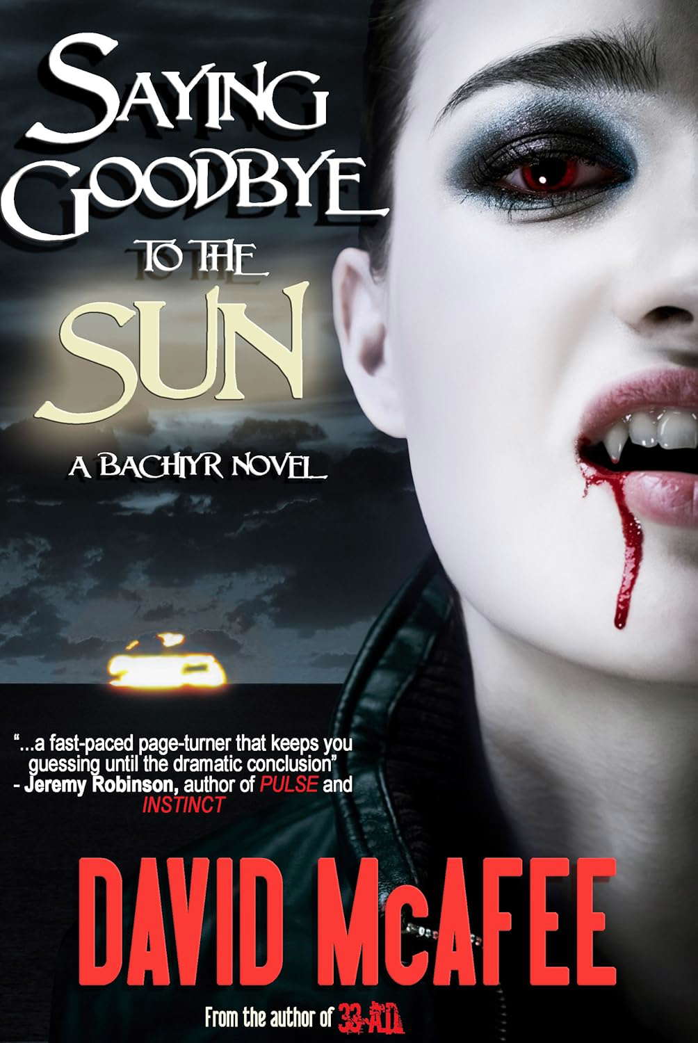 Saying Goodbye to the Sun poster