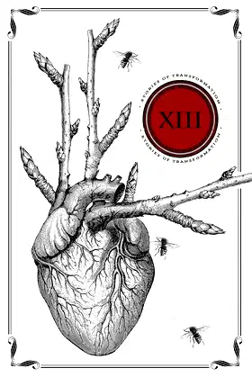 Thirteen: Stories of Transformation poster