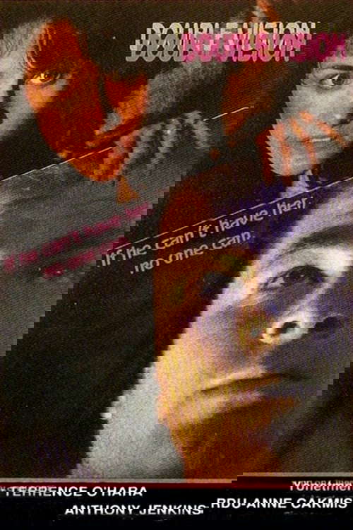 Double Vision poster