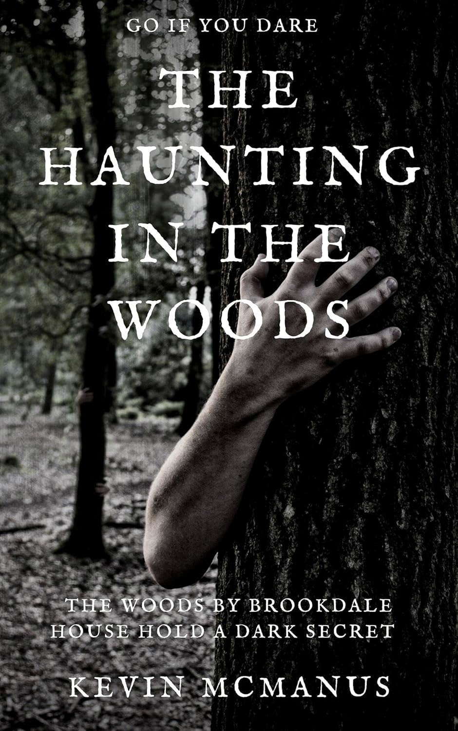 The Haunting in the Woods poster