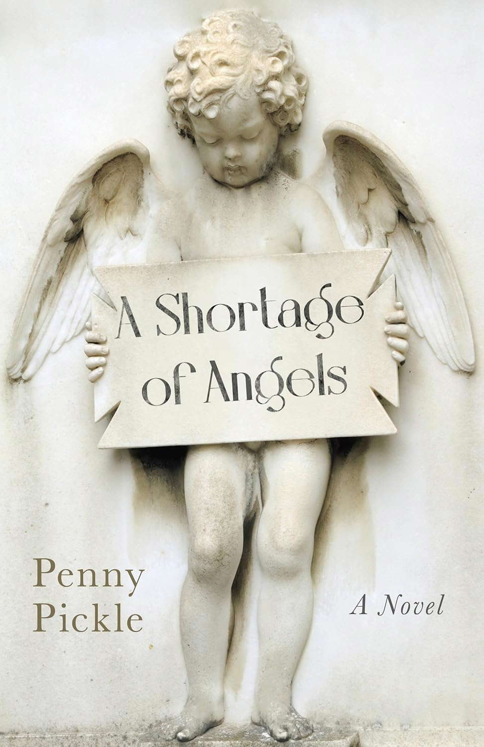 A Shortage of Angels: A Novel poster