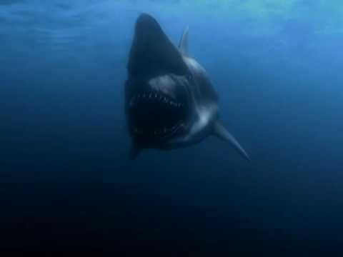 Poster for Malibu Shark Attack