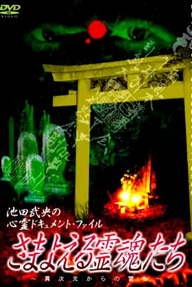 Samayoeru Reikon-tachi poster