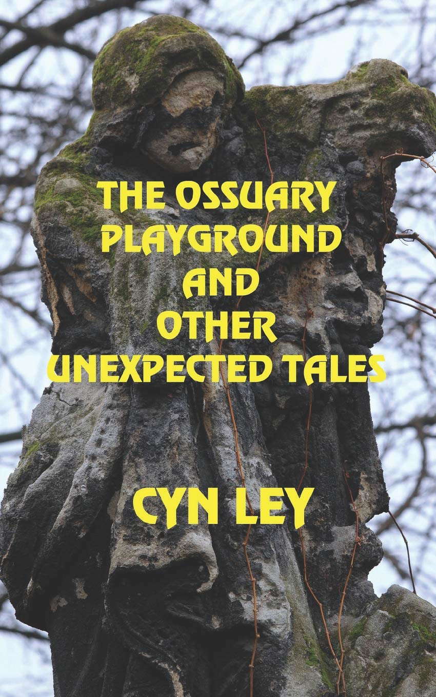 The Ossuary Playground and Other Unexpected Tales poster