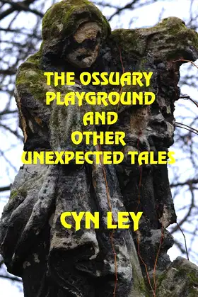 The Ossuary Playground and Other Unexpected Tales poster