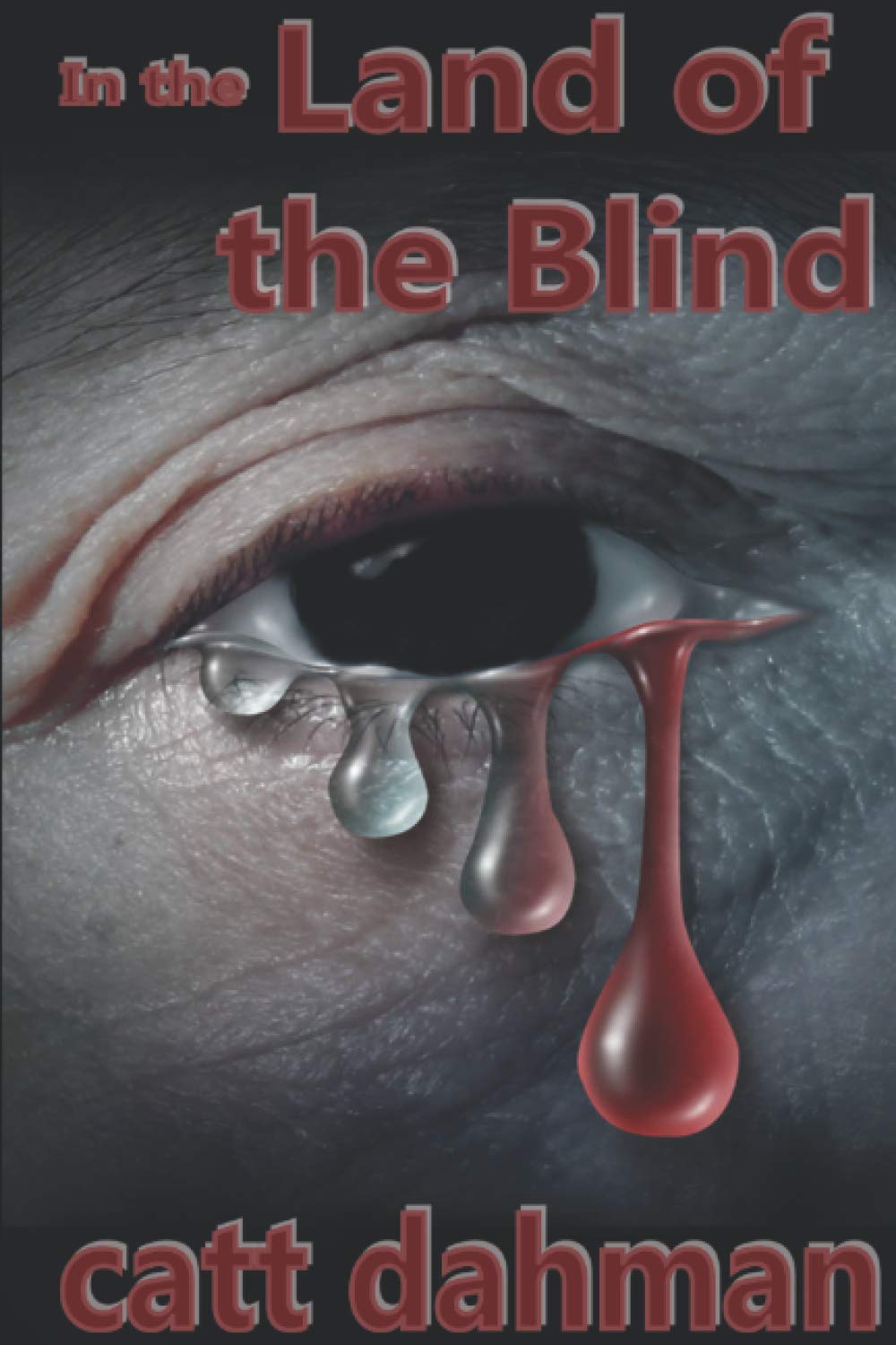In the Land of the Blind poster