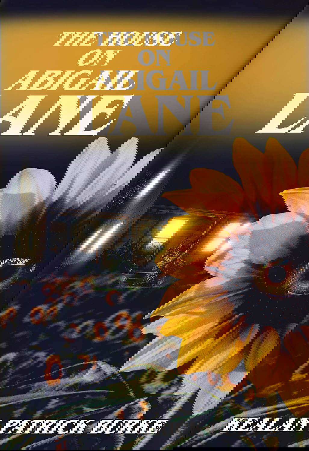 The House on Abigail Lane poster