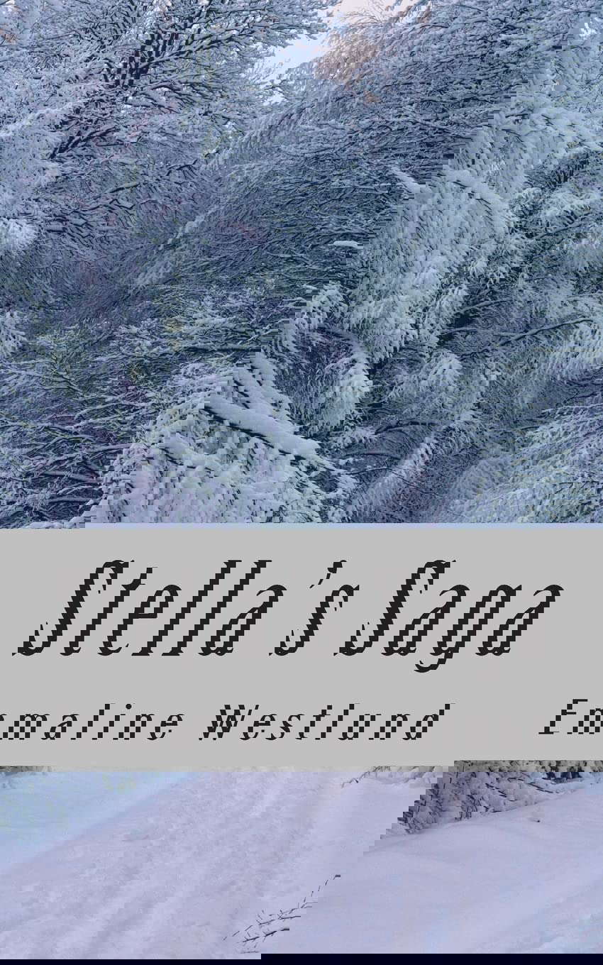Stella's Saga: Book One poster