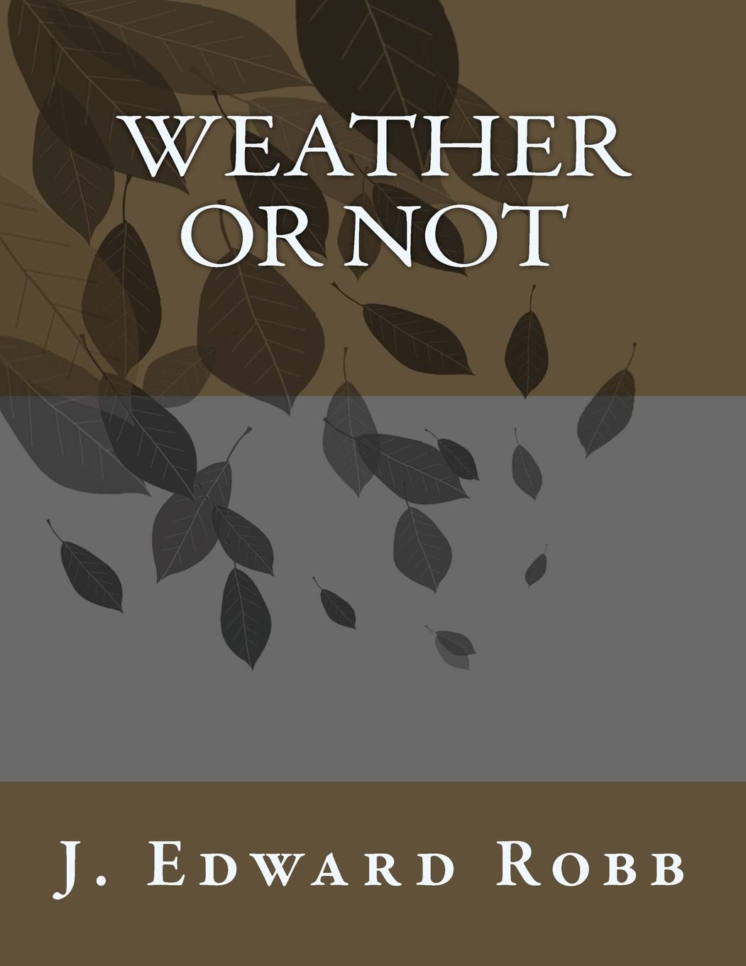 Weather or Not poster