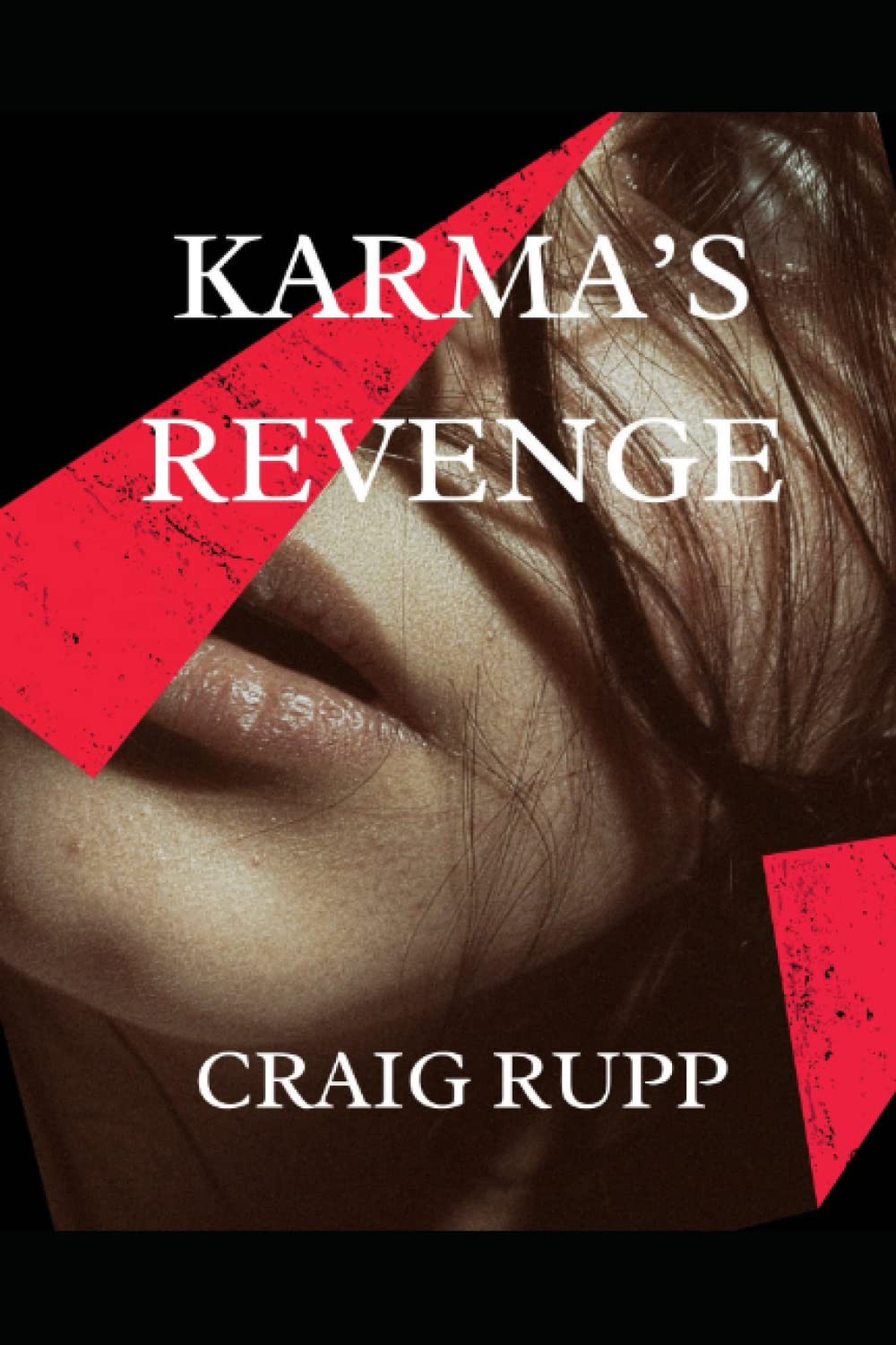 Karma's Revenge poster