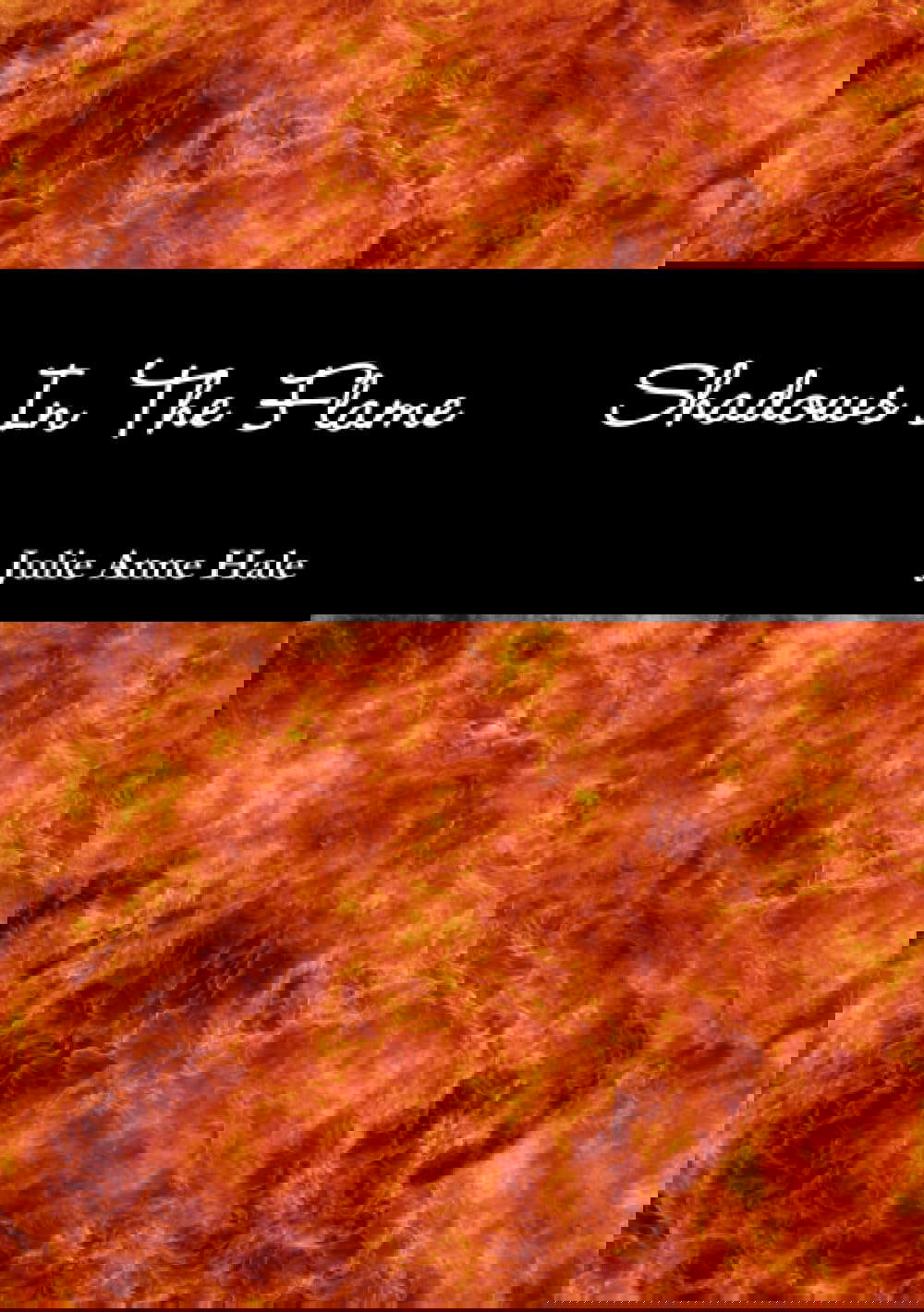 Shadows In The Flame poster
