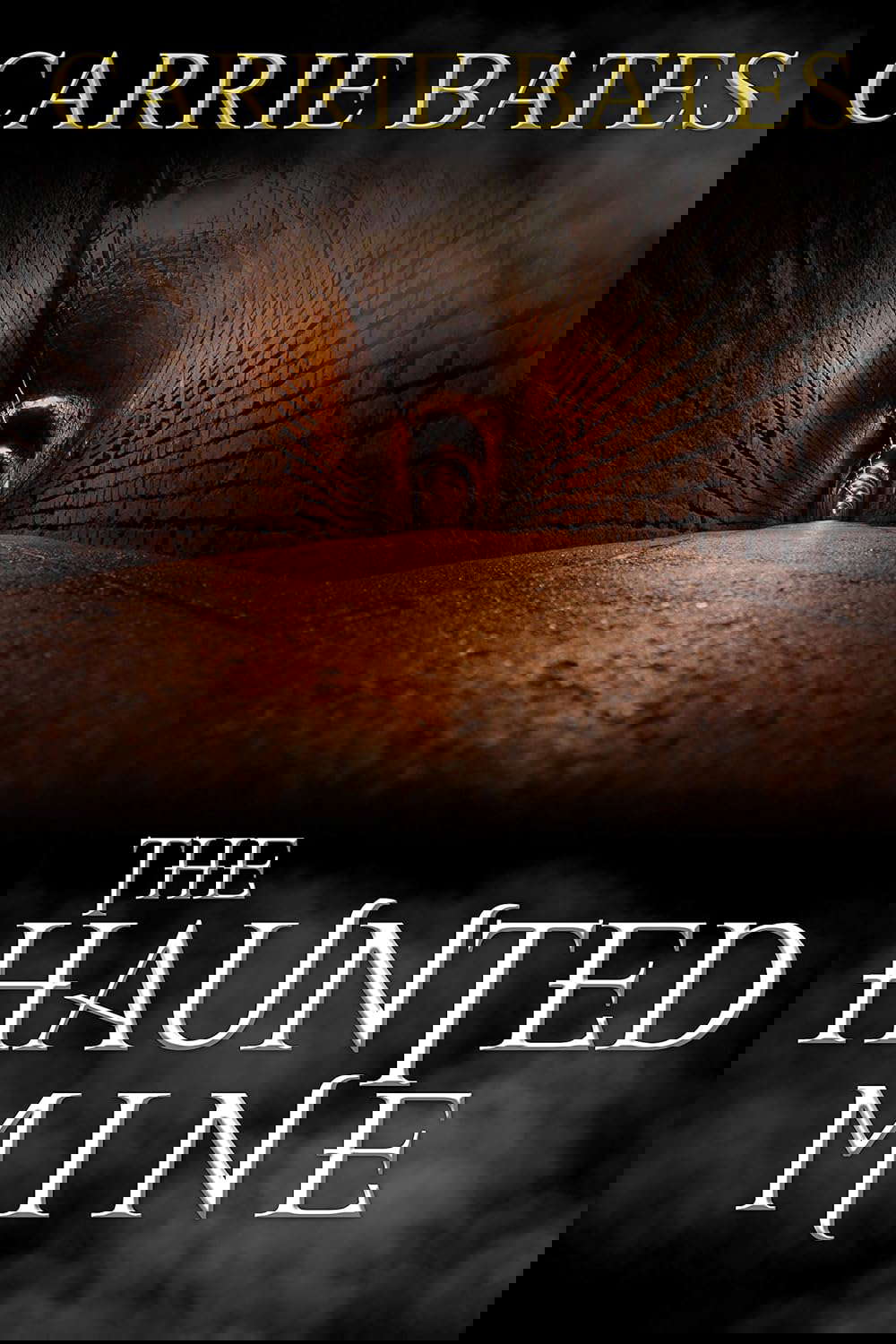 The Haunted Mine poster