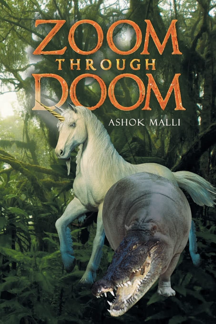 Zoom through Doom poster