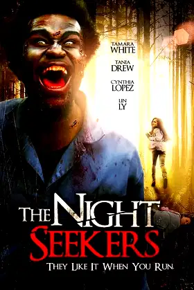 The Night Seekers poster