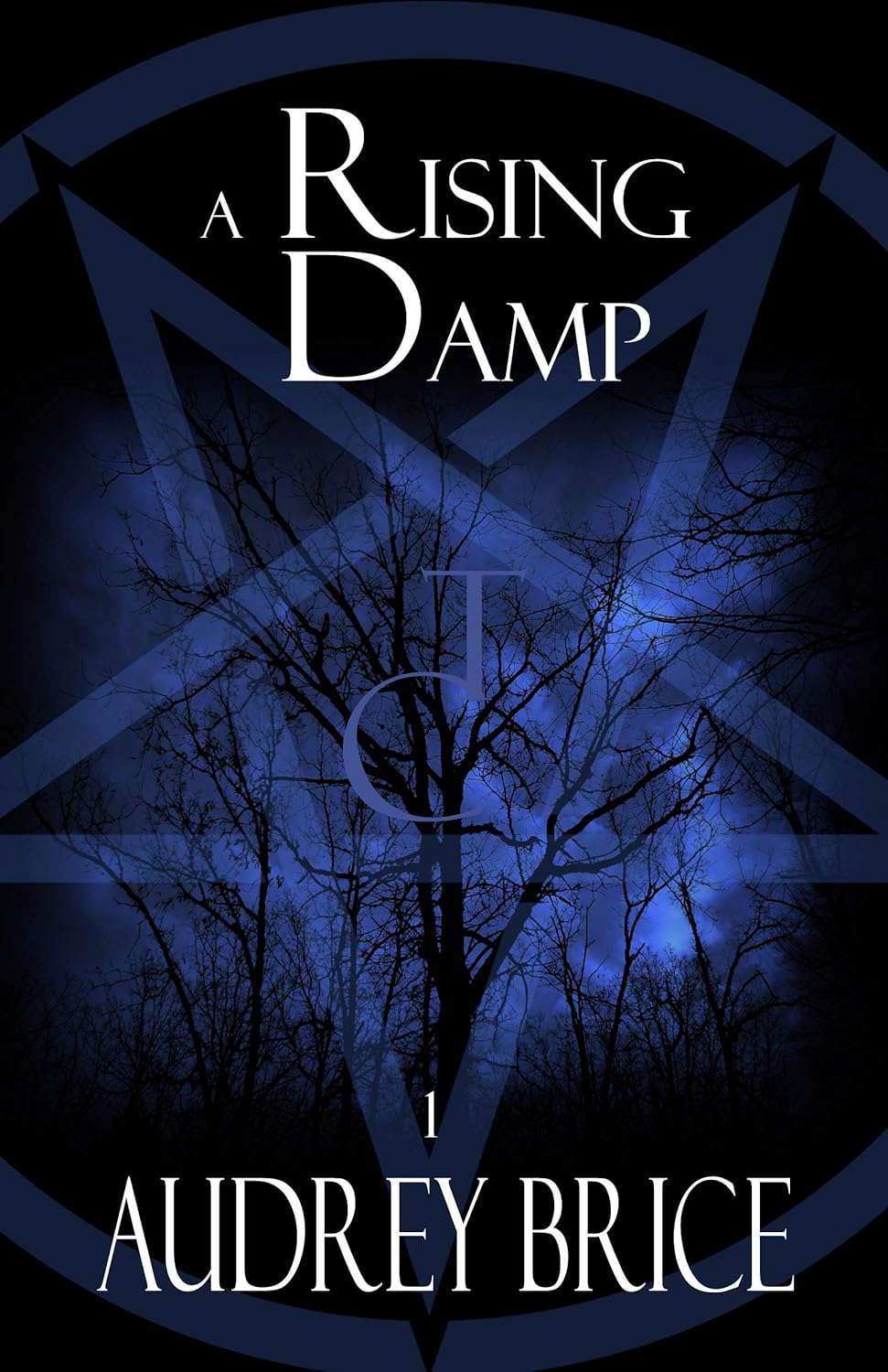 A Rising Damp: (Thirteen Covens) (Fourteen Tales of Thirteen Covens Book 1) poster