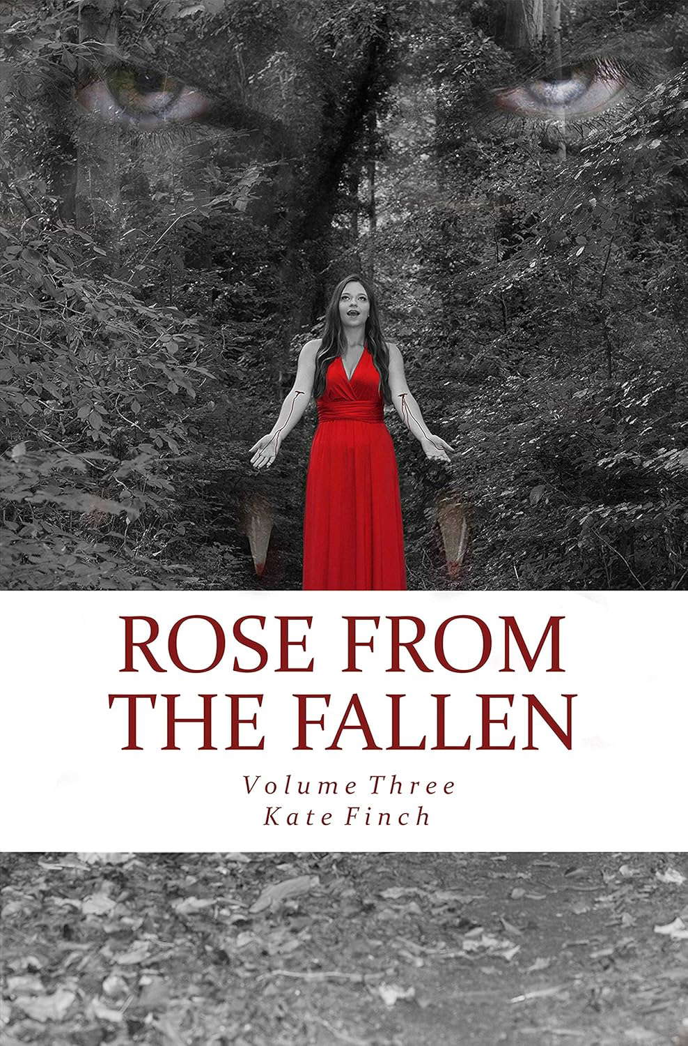 Rose from the Fallen: Volume Three (Rose from the Darkness Series Book 3) poster