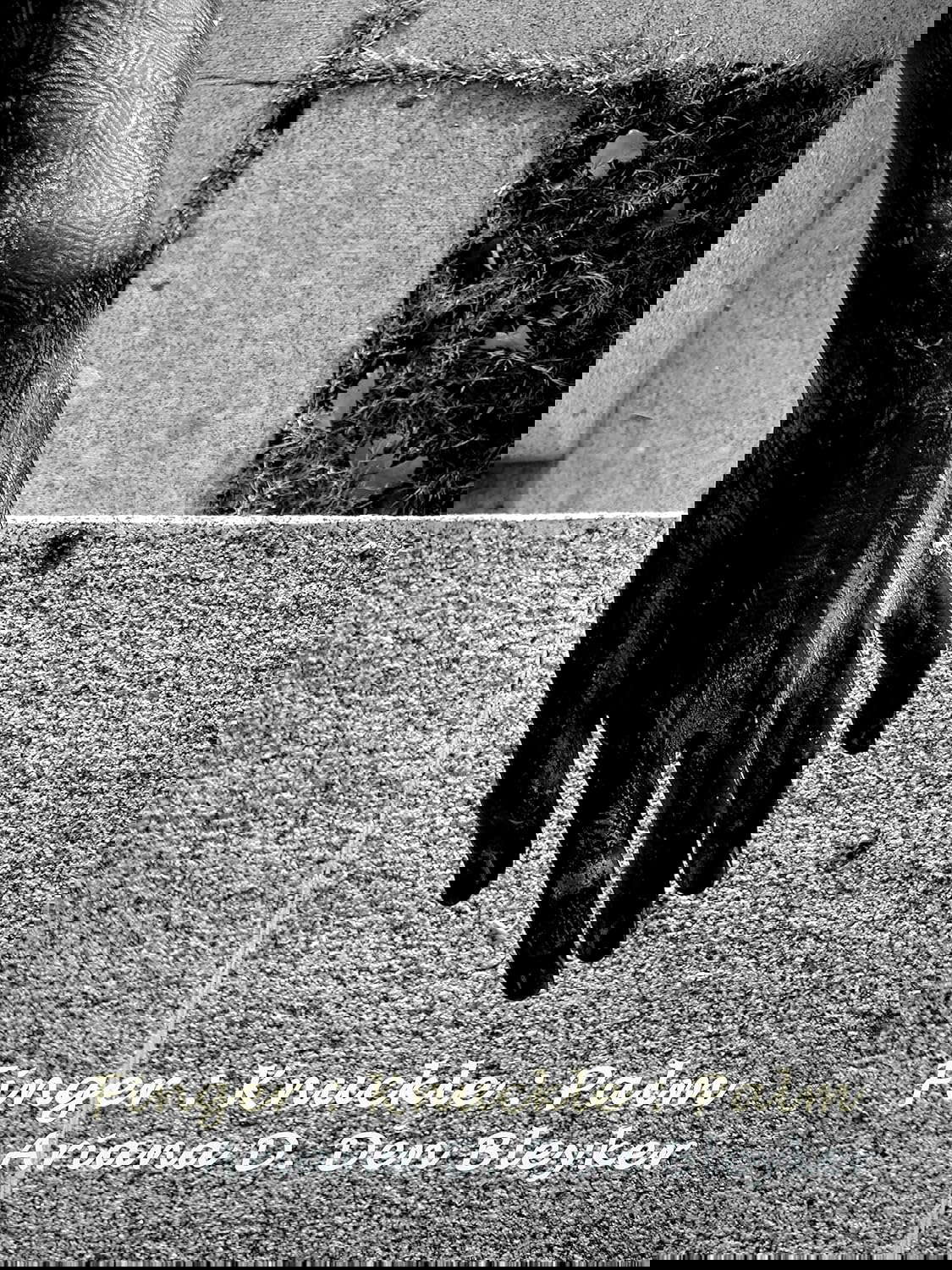Finger : Knuckle : Palm poster