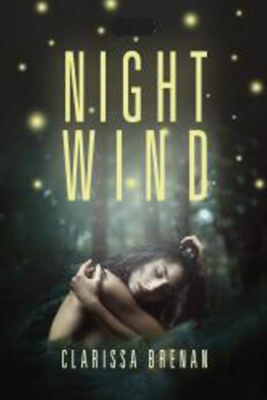 Night Wind poster