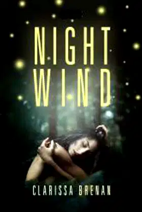 Night Wind poster