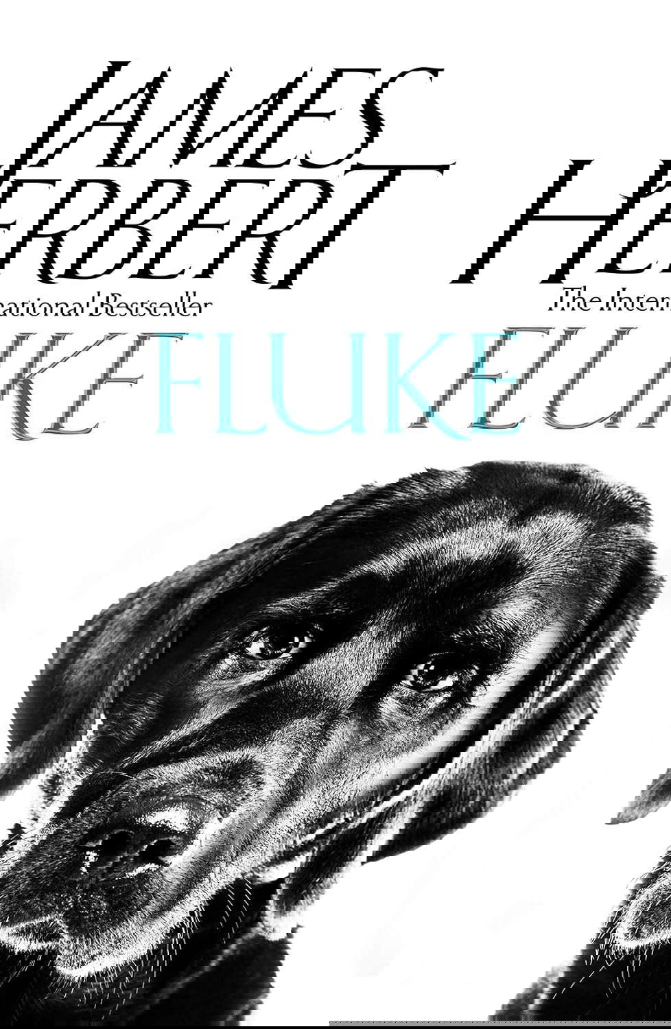 Fluke poster