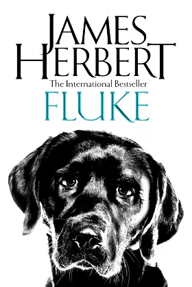 Fluke poster