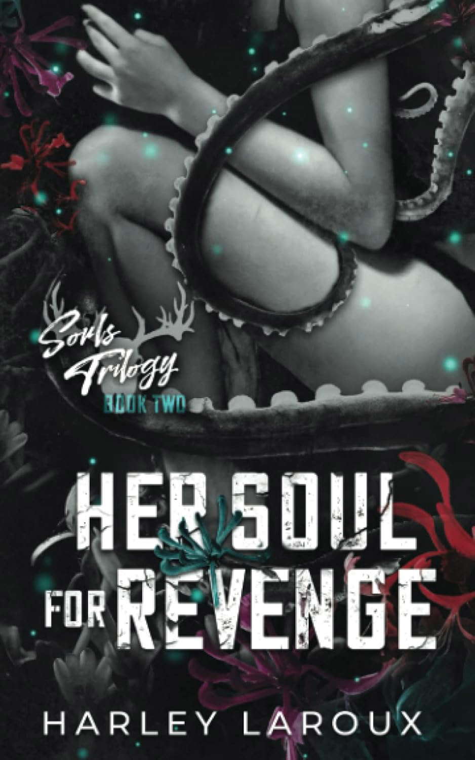 Her Soul for Revenge (Souls Trilogy) poster