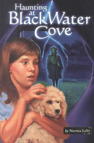 Haunting at Black Water Cove poster