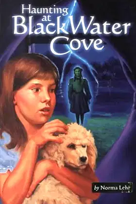 Haunting at Black Water Cove poster