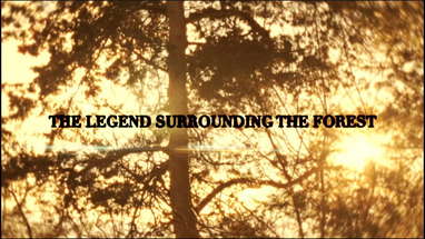 The Legend Surrounding the Forest (Short Film) poster