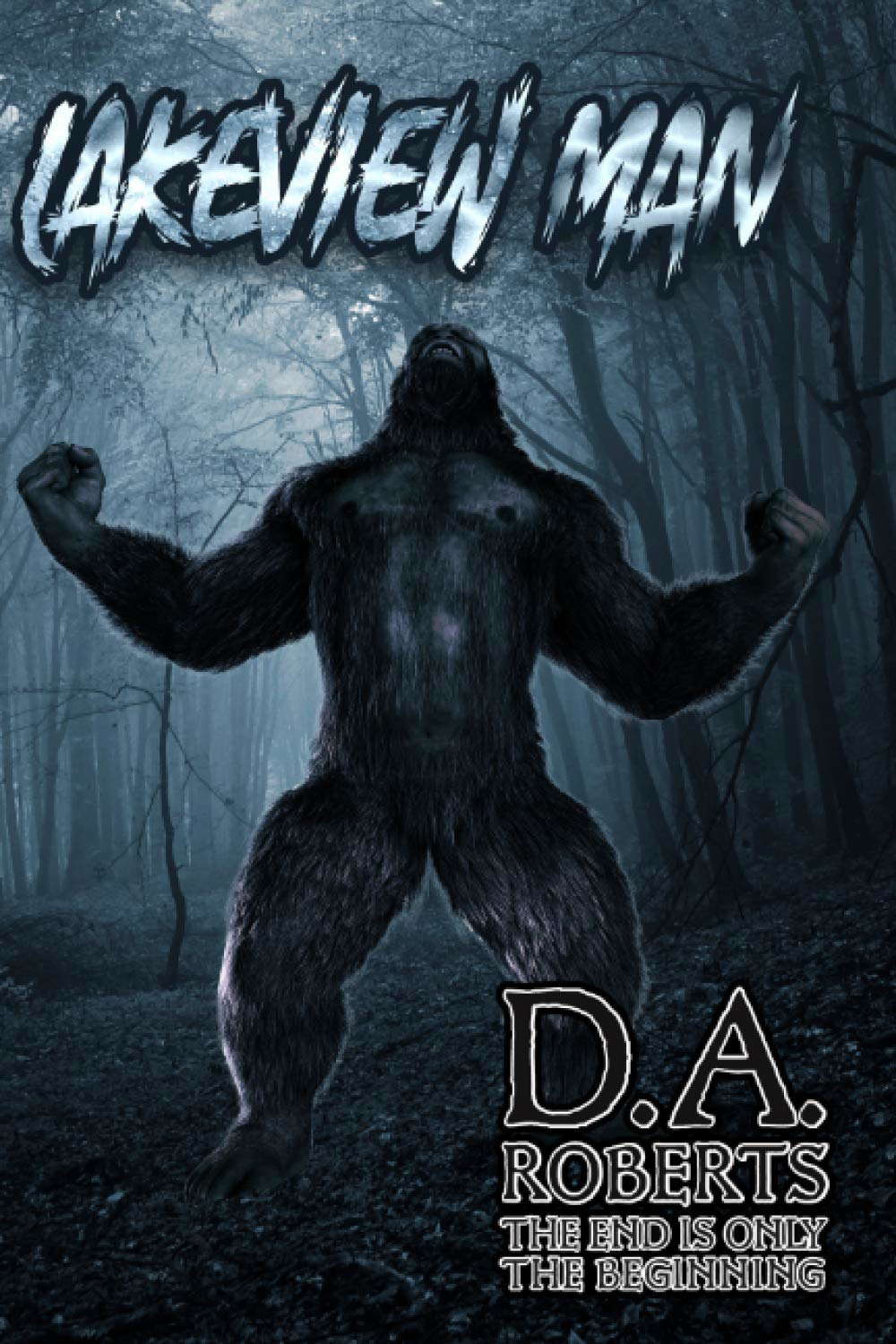 The Lakeview Man poster