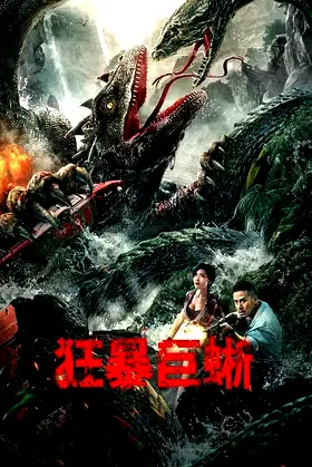 Crazy Lizard poster