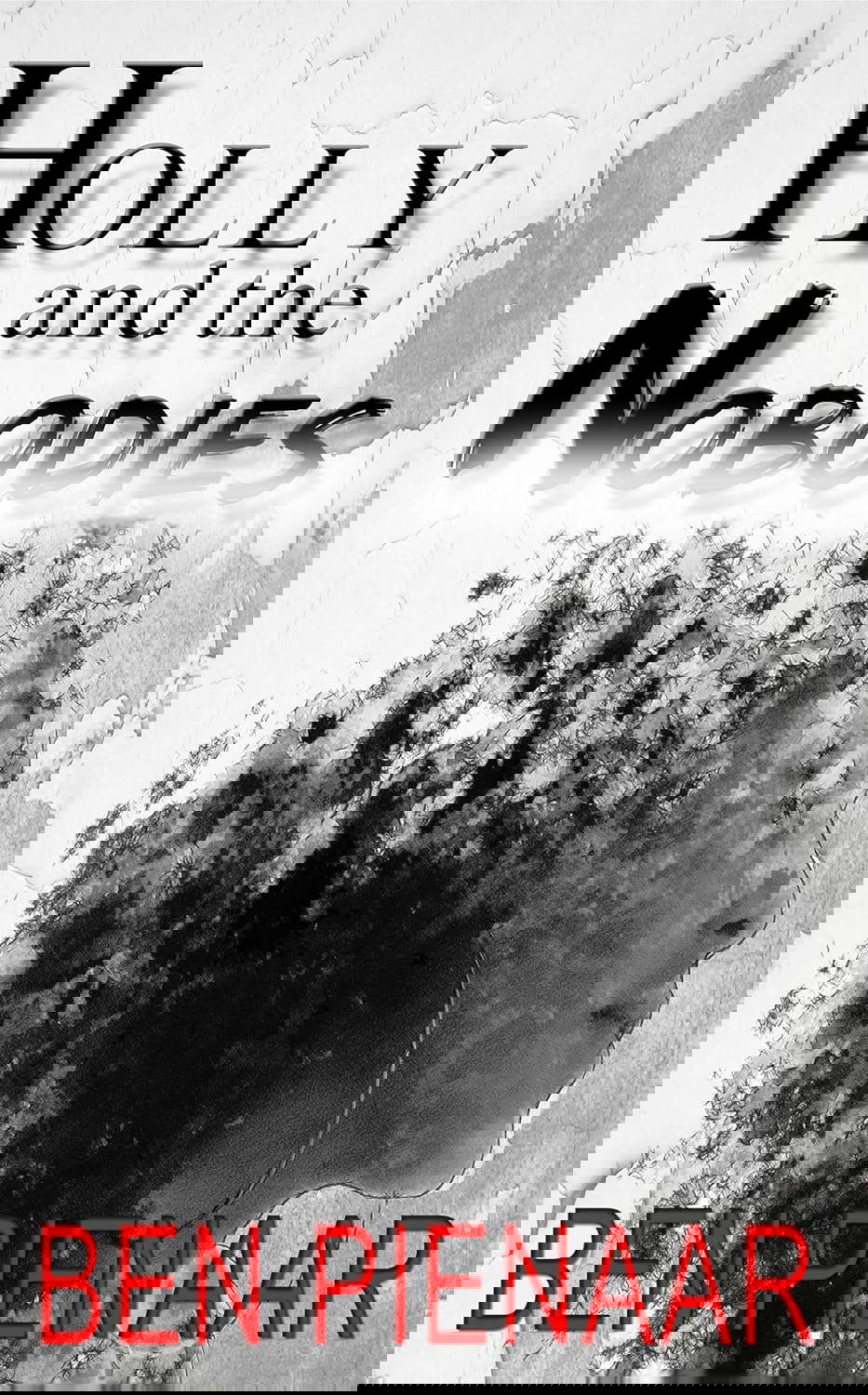 Holly and the Nobodies poster