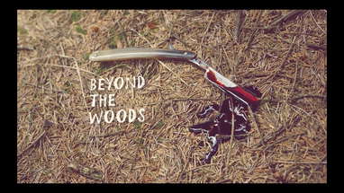 Beyond The Woods - fundit video poster