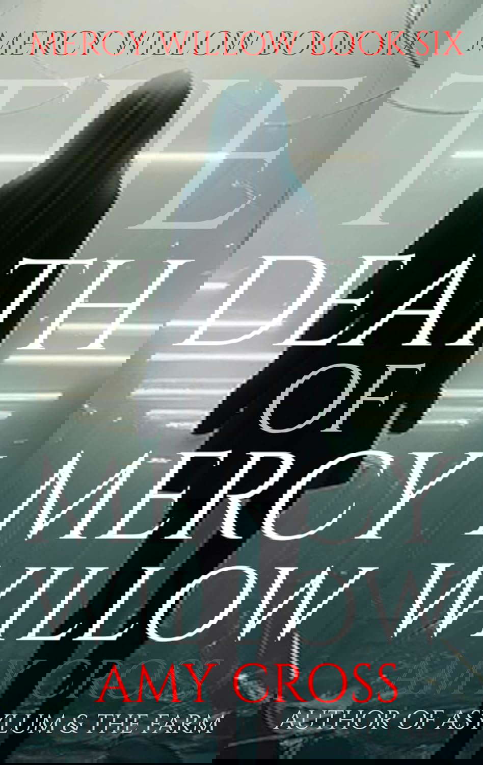 The Death of Mercy Willow poster