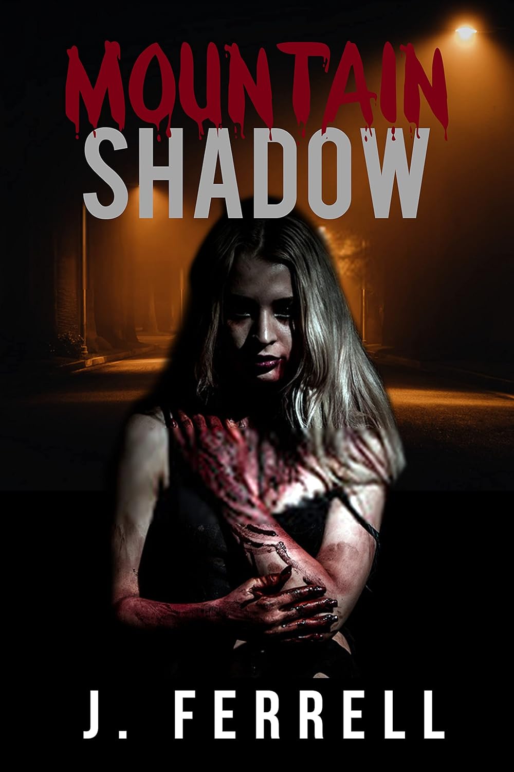 Mountain Shadow poster