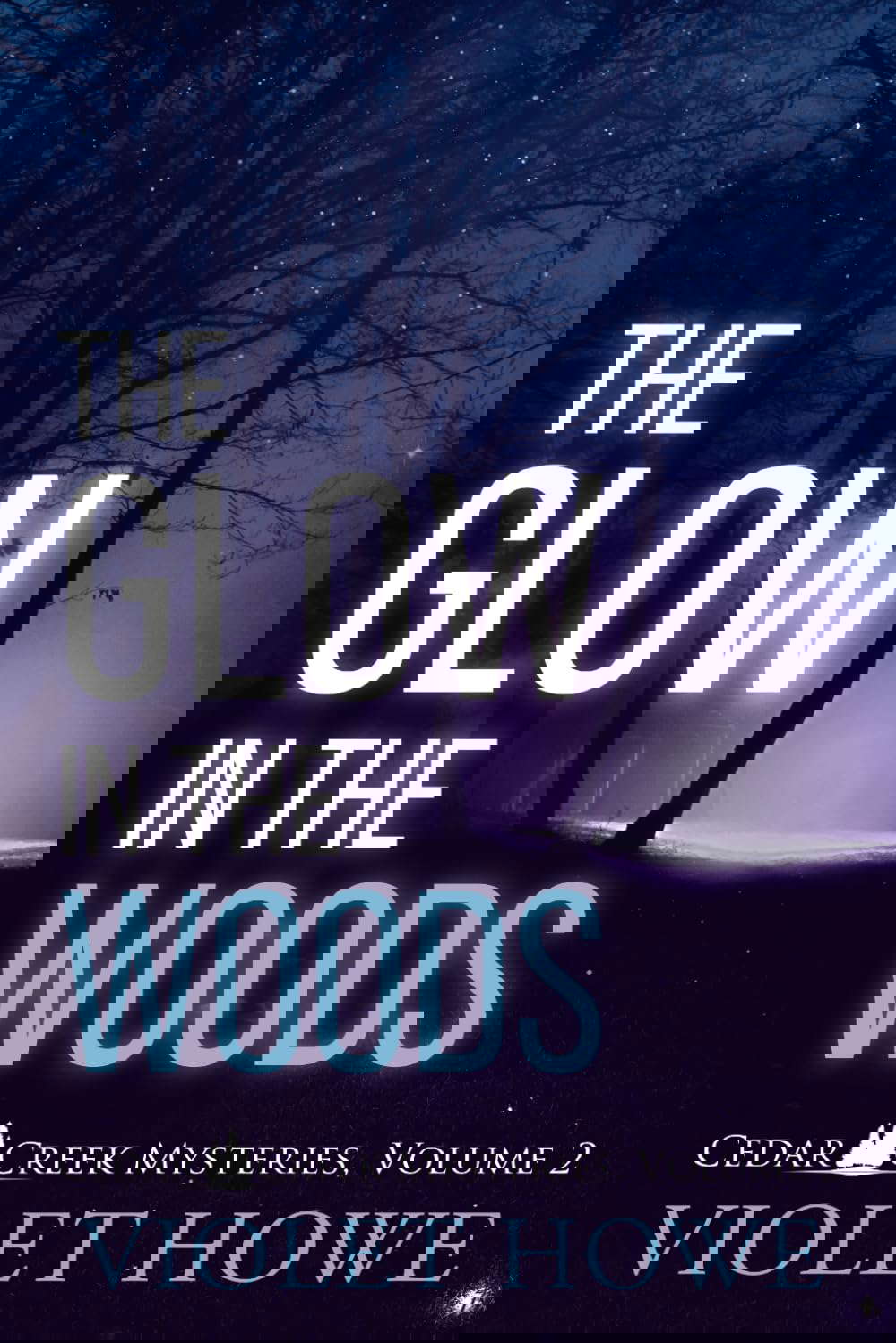 The Glow in the Woods (Cedar Creek Mysteries) poster