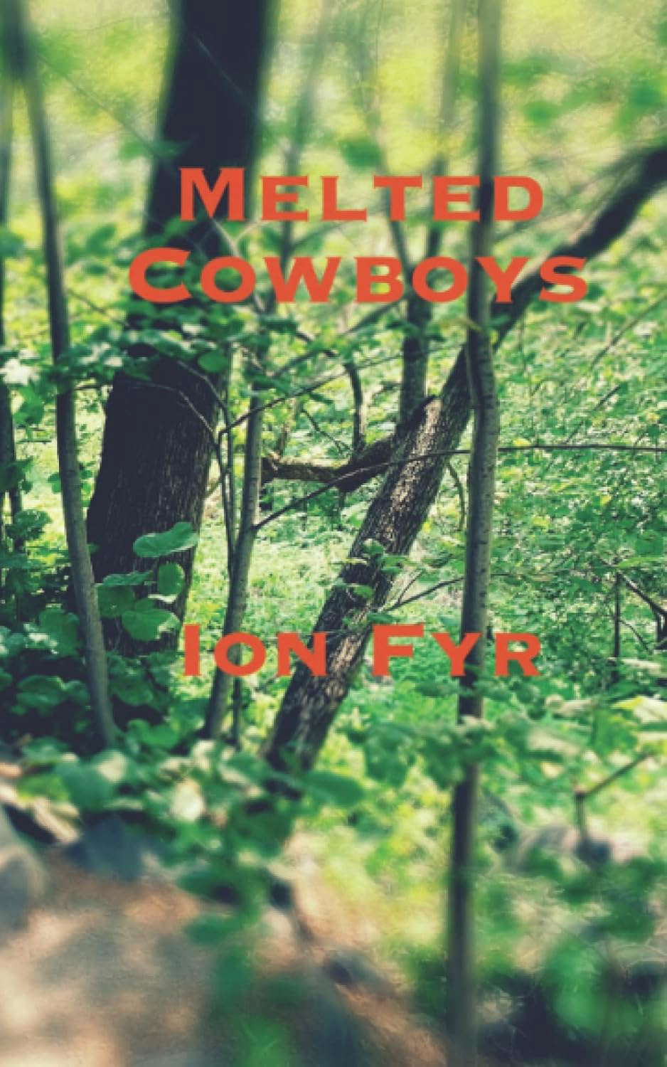Melted Cowboys poster