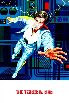 The Terminal Man poster