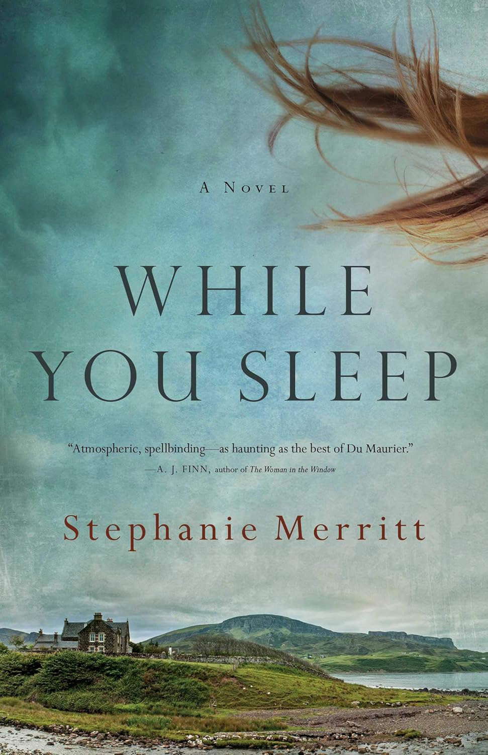 While You Sleep: A Novel poster