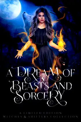 A Dream of Beasts and Sorcery poster