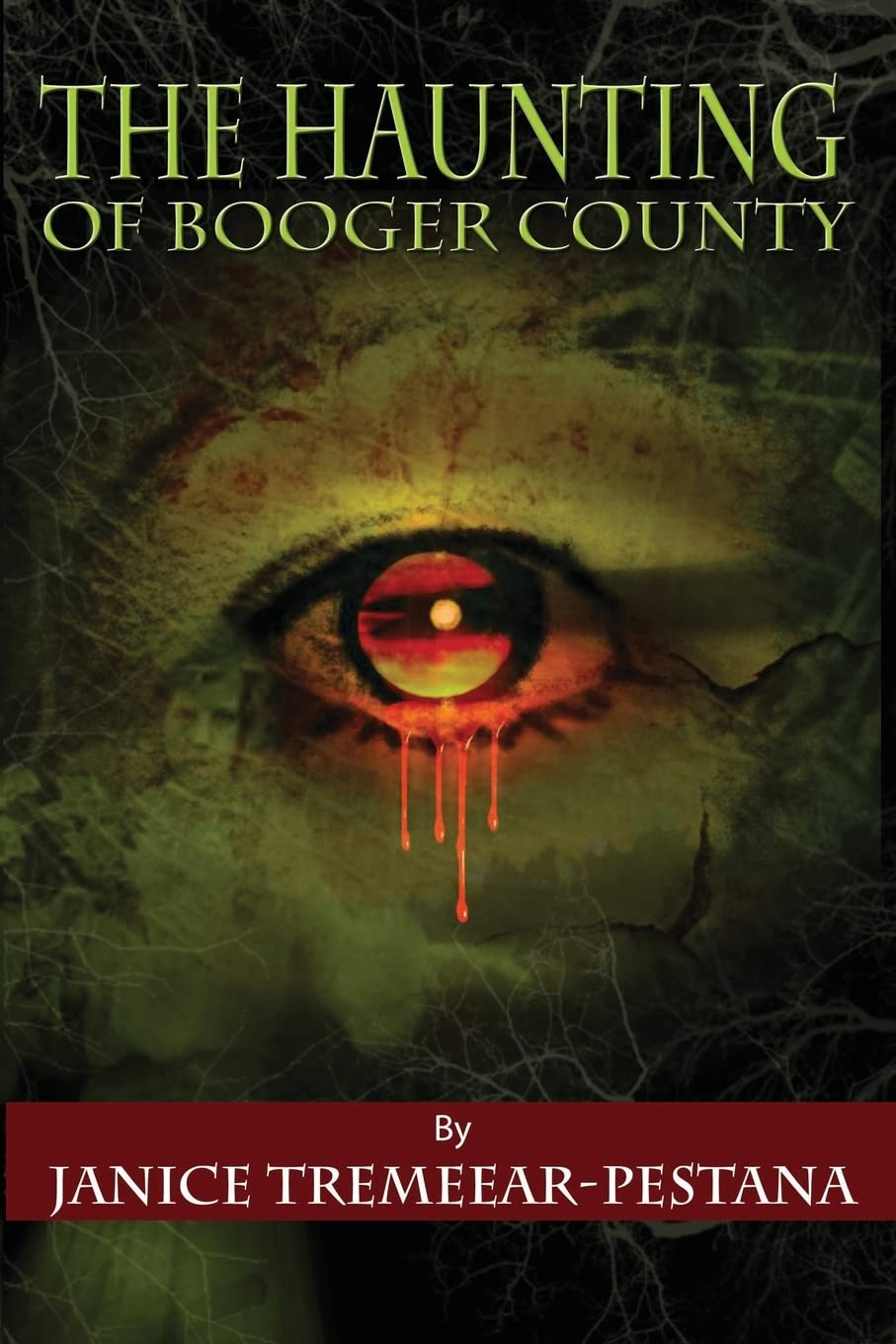 The Haunting of Booger County poster