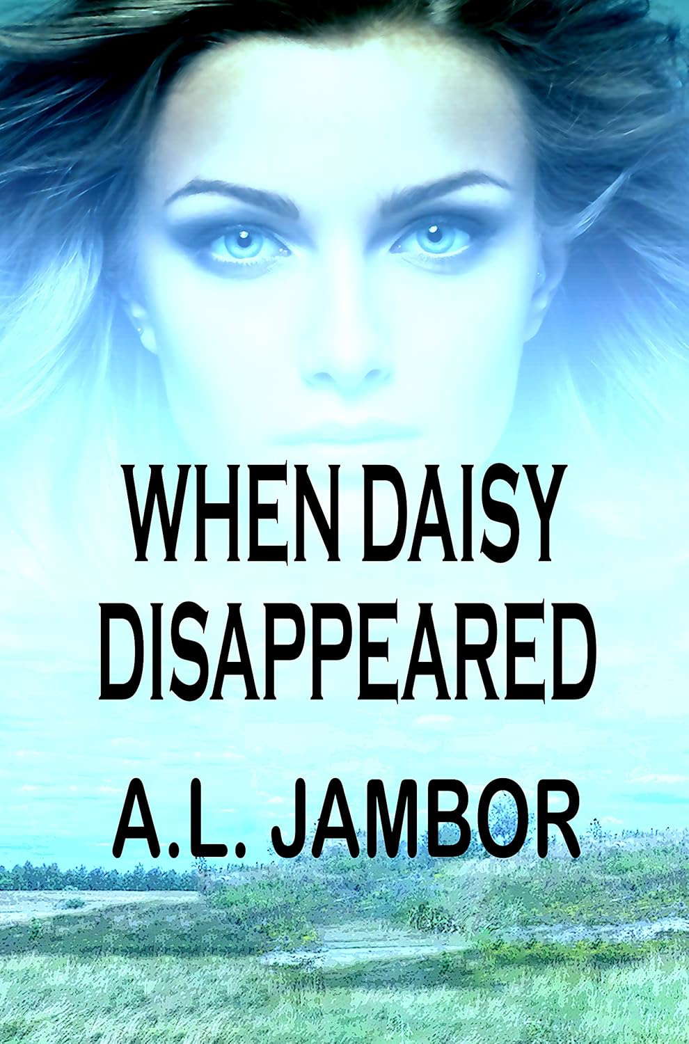 When Daisy Disappeared poster