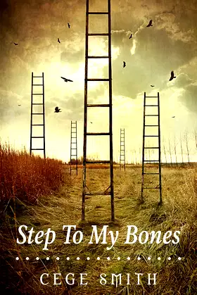 Step To My Bones poster