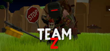 Team-Z capsule