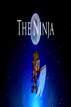 The Ninja poster