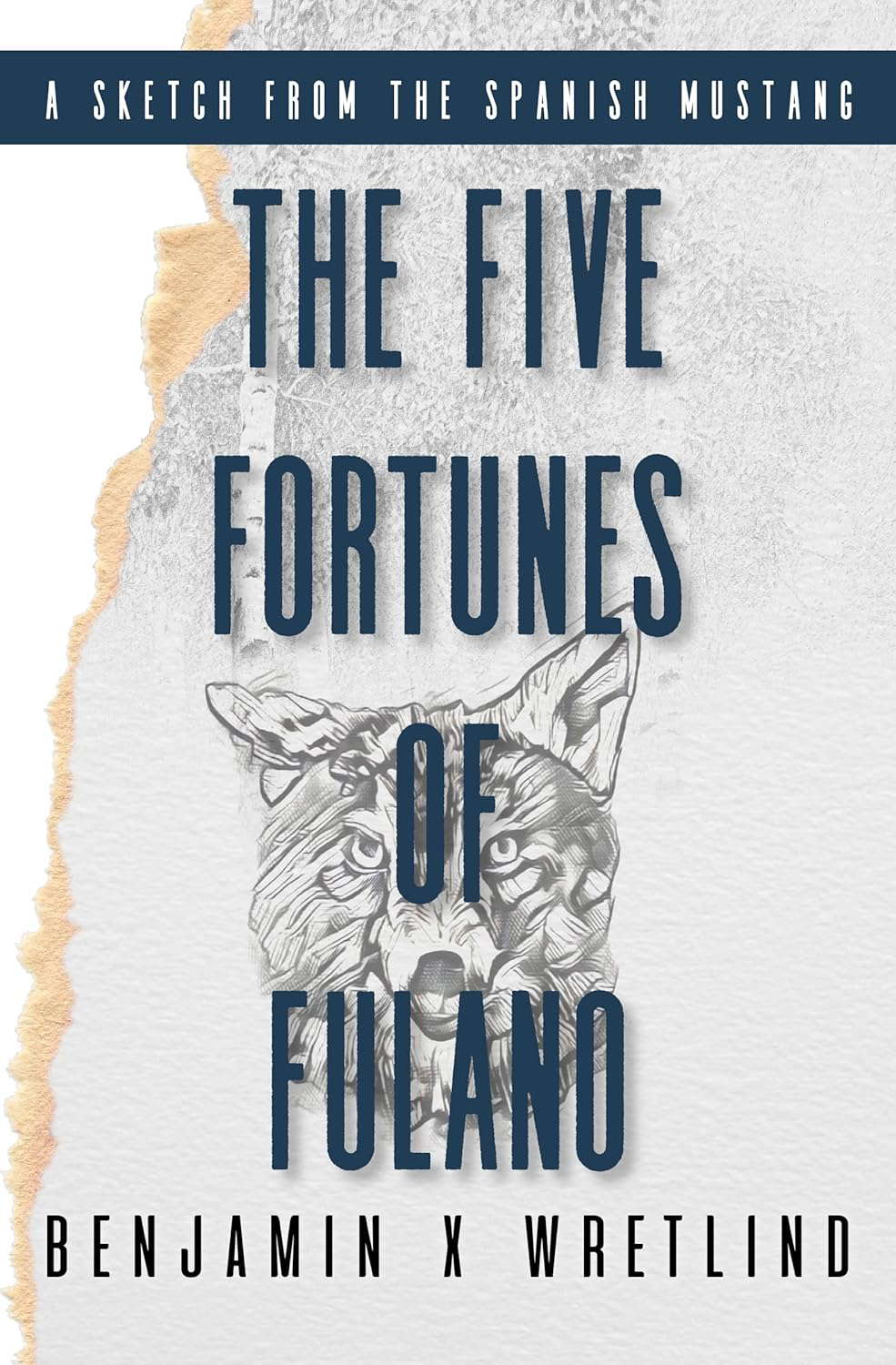 The Five Fortunes of Fulano (Sketches from the Spanish Mustang Book 5) poster