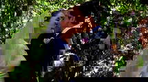 episode poster